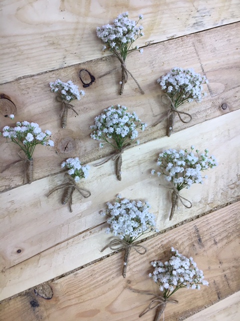 Gypsophilia buttonhole