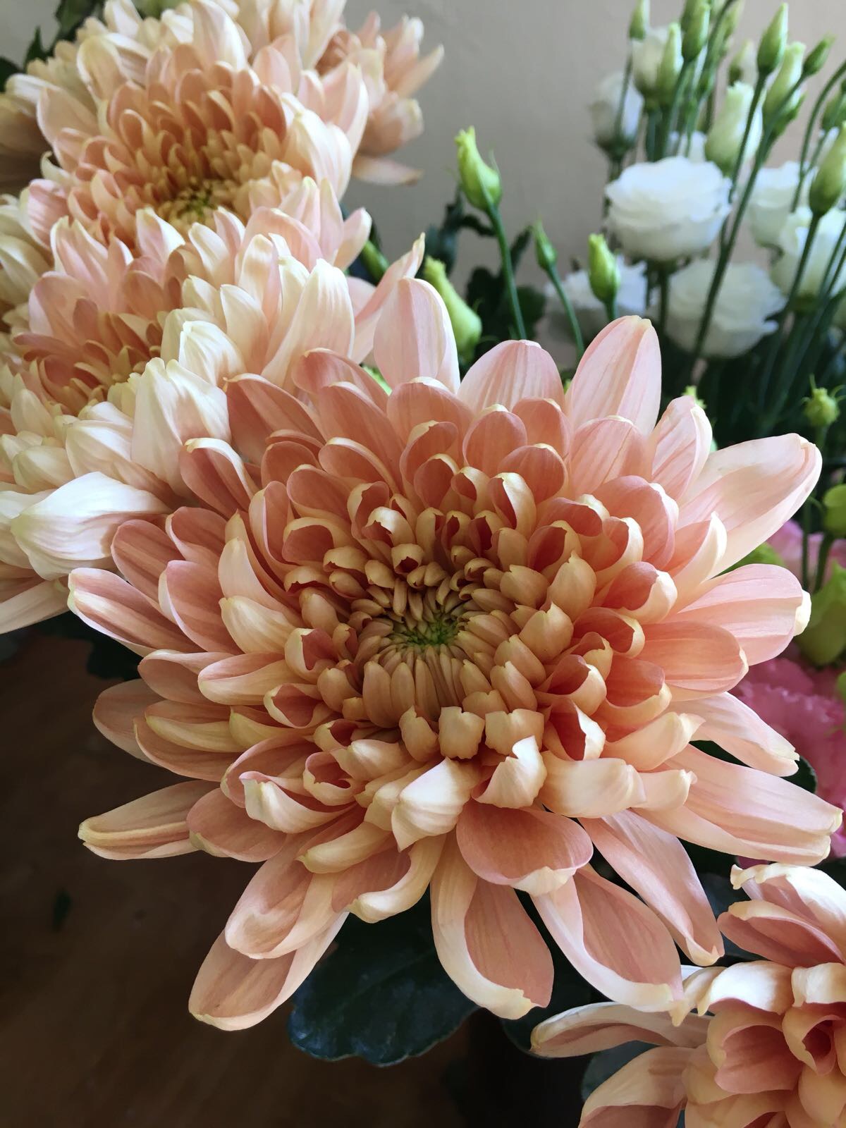 Chrysanthemum, Autumn wedding flowers, pink wedding flowers