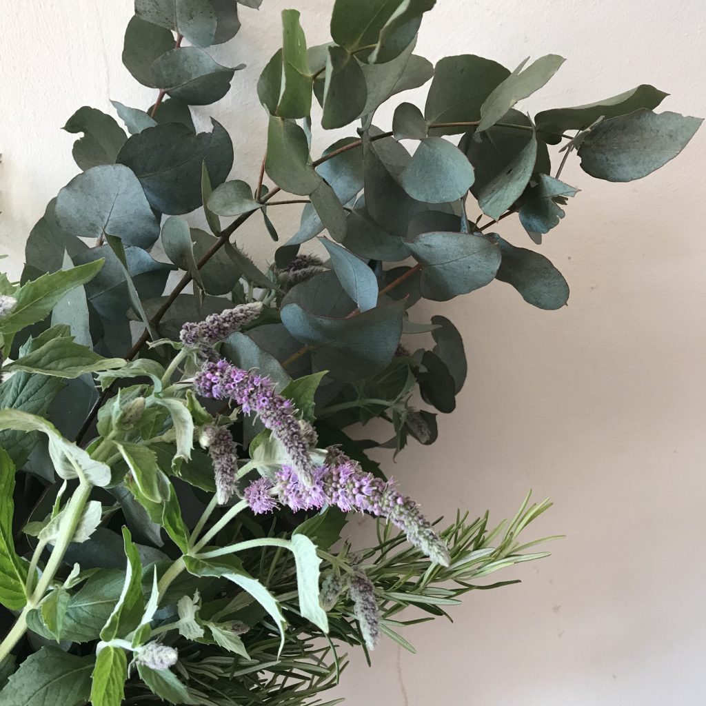 Flowering Mint, Rosemary and Eucalyptus